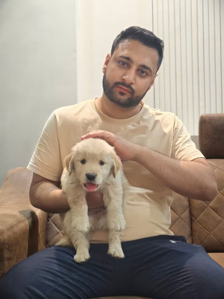 Rohan & Simba with Golden Retriever